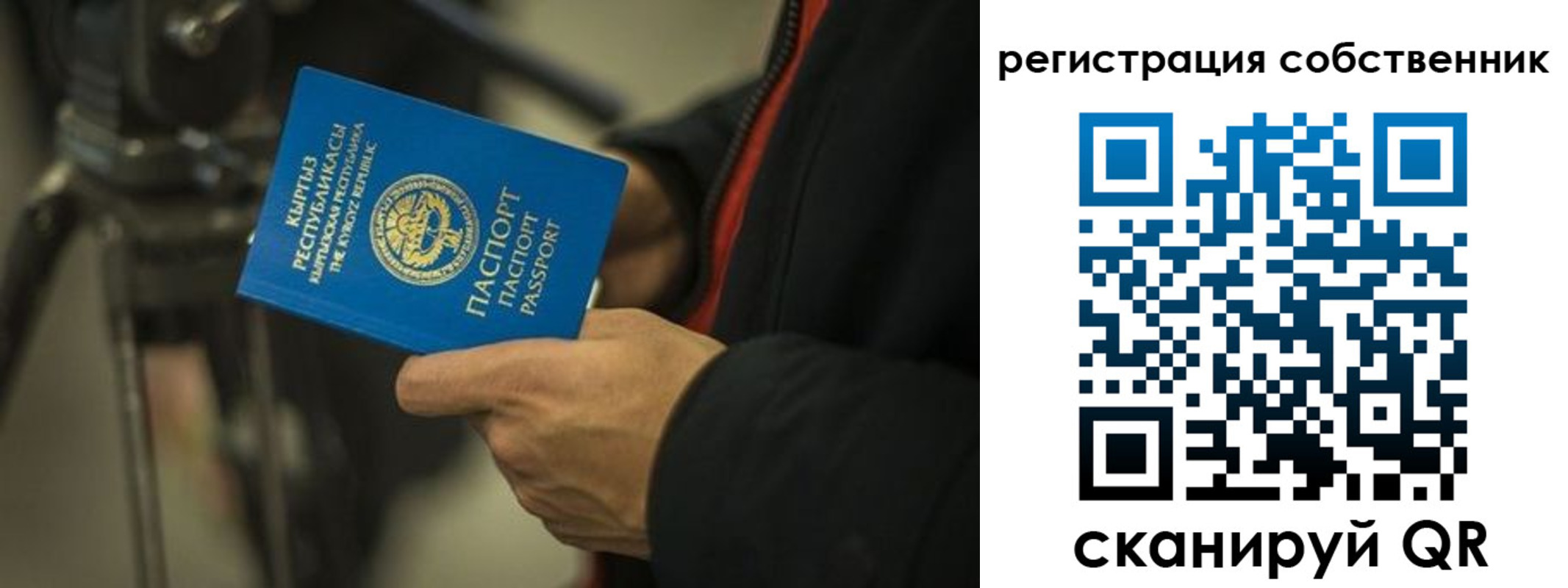 временная регистрация поиск в Шадринске